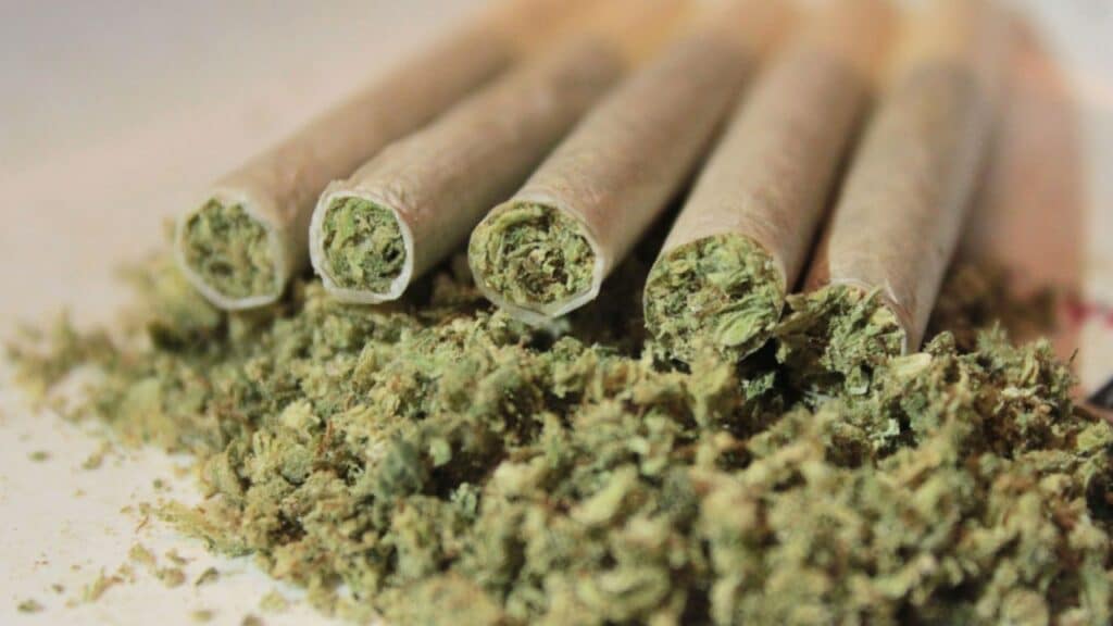 How to Roll a Fidel's Hash Hole: The Perfect Cannabis Experience.