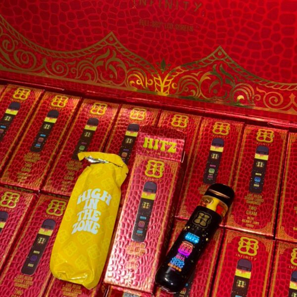 Hitz infinity disposable