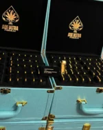 Ace Ultra Premium Disposable Vape Minis Gen 4